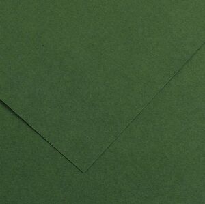 CANSON CARTULINA 50 X 65CM. 185GRS. 31 VERDE AMAZONAS