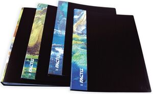 MILAN CARPETA A4 100 FUNDAS