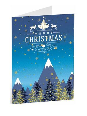 TARJETA FELICITACIÓN NAVIDAD MIRACLE 175 22386
