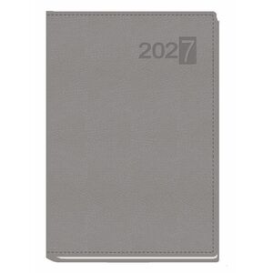 MYRGA AGENDA 2027 ZAHARA D/P GRIS