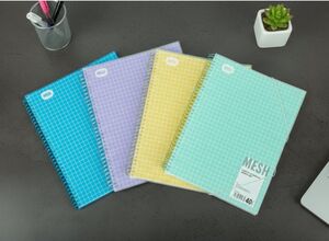 PRYSE CARPETA 30 FUNDAS A4 ESPIRAL MESH