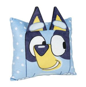 COJIN BLUEY 30 X 30CM. INFANTIL CERDÁ