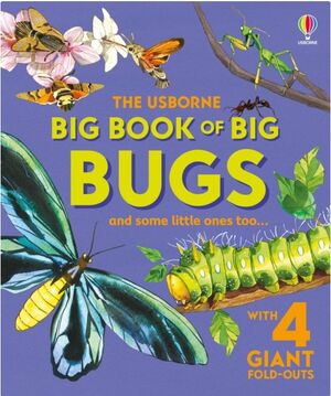BIG BOOK OF BIG BUGS