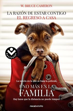 LA RAZÓN DE ESTAR CONTIGO. EL REGRESO A CASA 1 - EL REGRESO A CASA