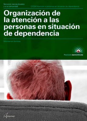 ORGANIZACIÓN DE LA ATENCIÓN A LAS PERSONAS EN SITUACIÓN DE DEPENDENCIA