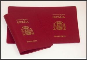 FUNDA PASAPORTE ESPAÑOL GRANATE