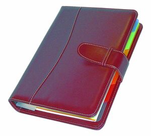 MYRGA AGENDA ESTATUS DÍA PÁGINA 2021 ROJO